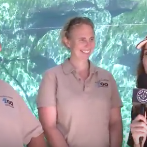 Get Out Of The Basement interviewed some of the awesome people at Assiniboine Park Zoo. Watch this video then get out and do it yourself.